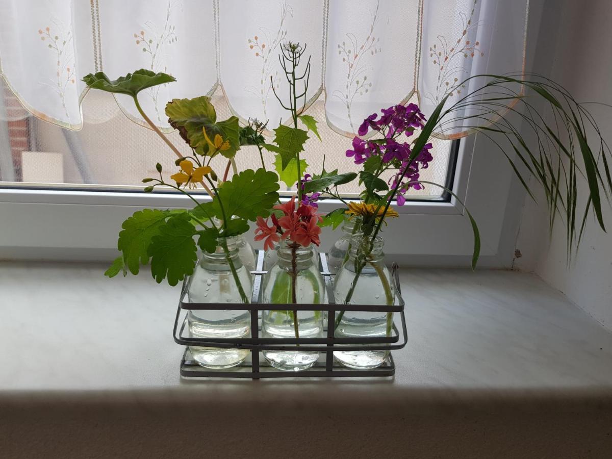 Ferienwohnung Burgenblick Thale Exteriér fotografie