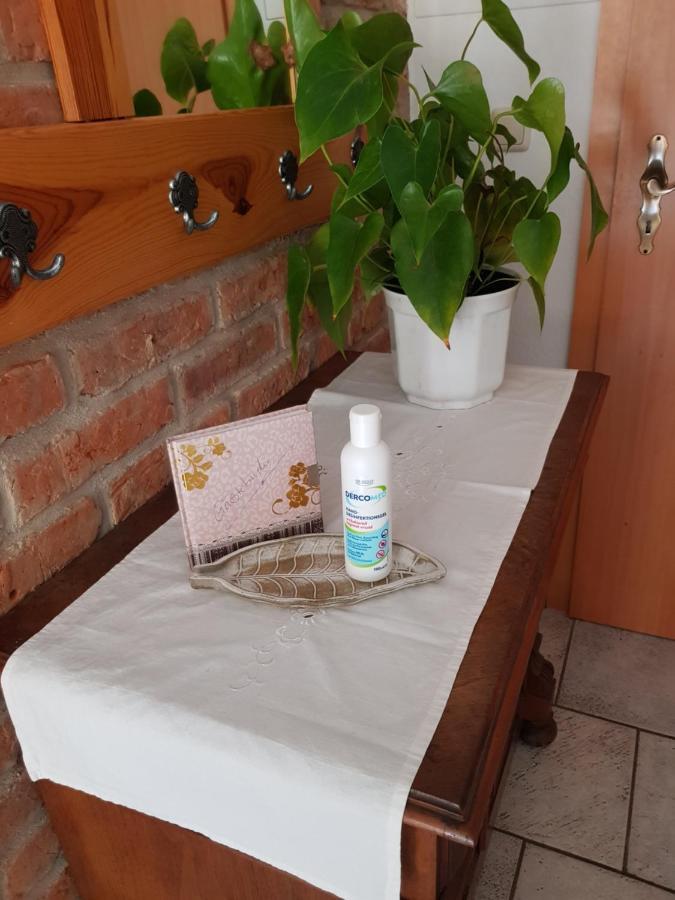 Ferienwohnung Burgenblick Thale Exteriér fotografie